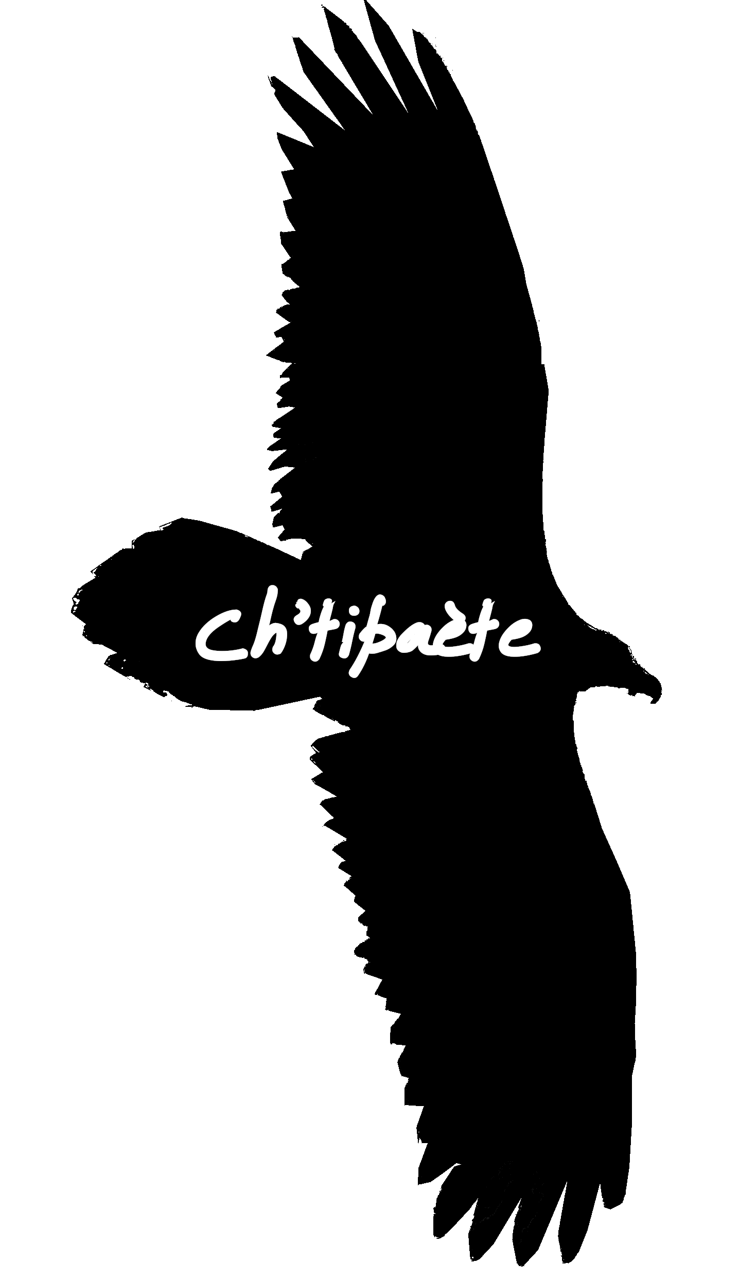 Chtipaète