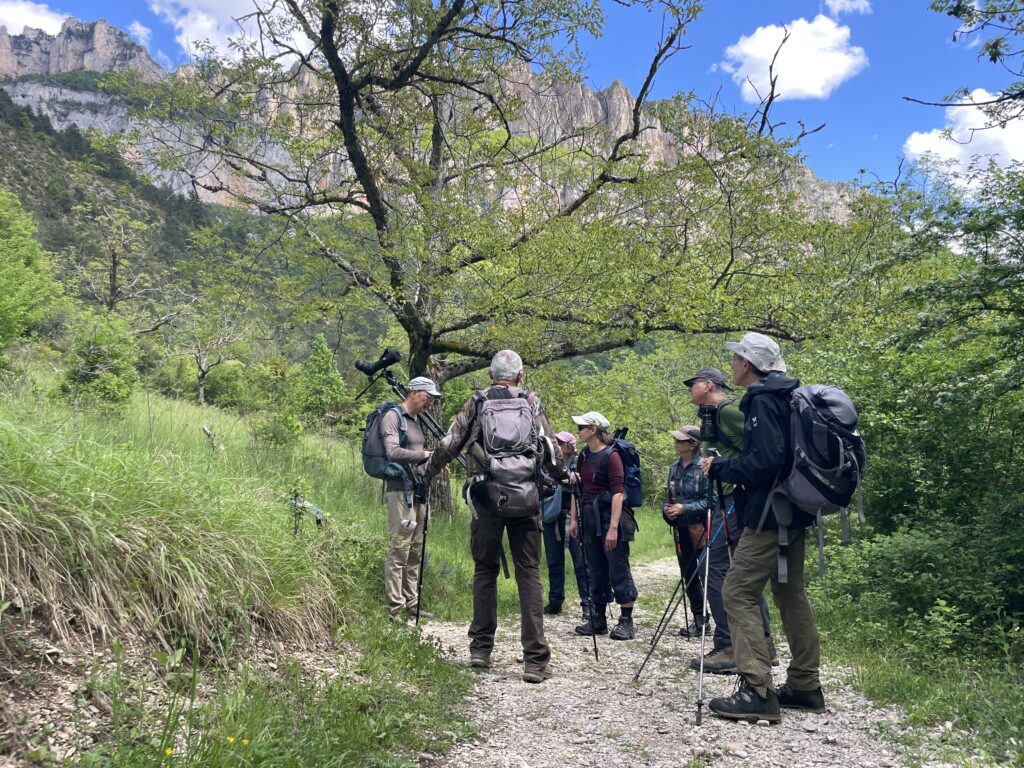 Groupe ornitho montagne